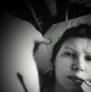 Meet your Posher, Fallenena